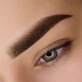 powder brows